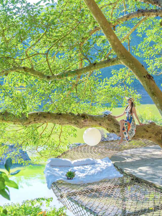 被朋友圈問爆的 西雙版納 雨林江景Villa