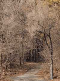 淨月潭：在冷杉林與月亮之間豢養一汪液態翡翠