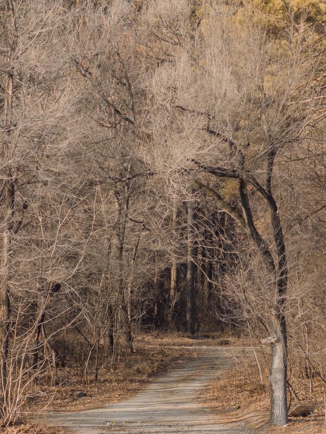 淨月潭：在冷杉林與月亮之間豢養一汪液態翡翠