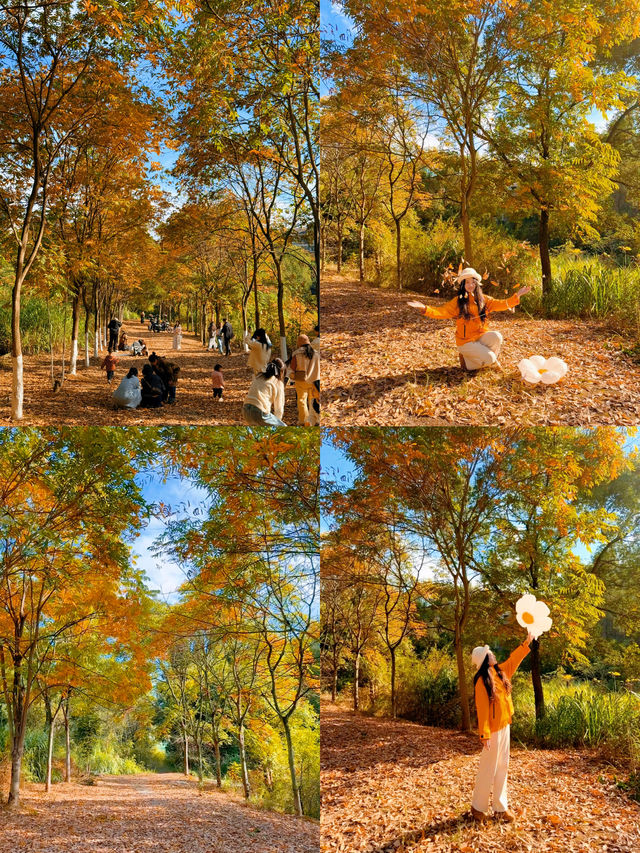 可惜你不來宜春 秋日限定打卡攻略大全