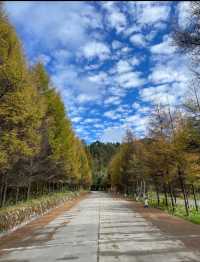 爆冷門！陝西這座神仙峽谷竟藏匿著八仙的祕籍