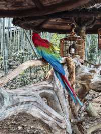 溧陽天目湖3日遊：天目湖山水