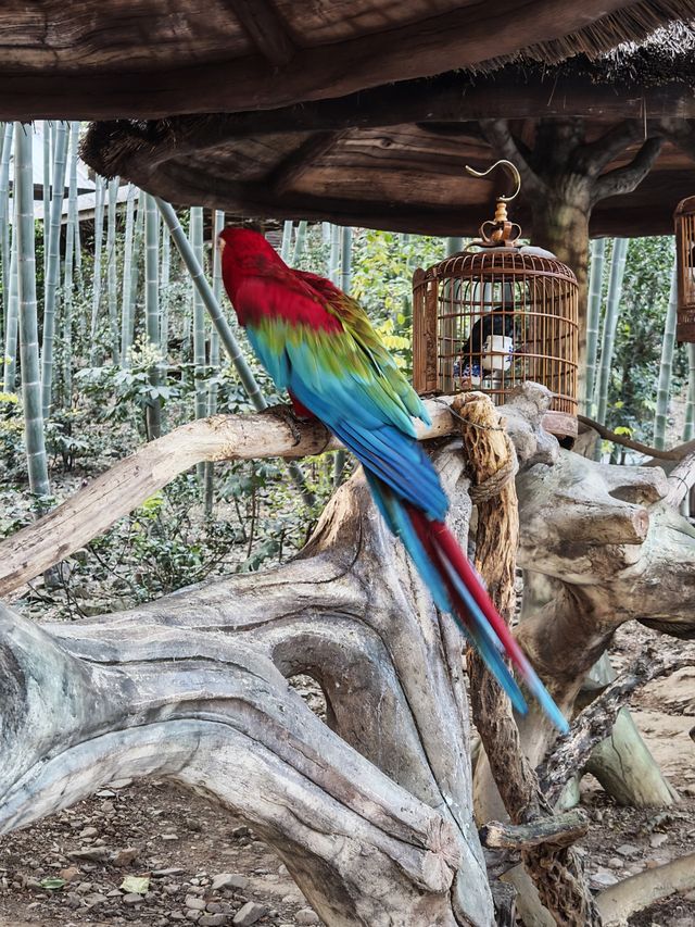溧陽天目湖3日遊：天目湖山水