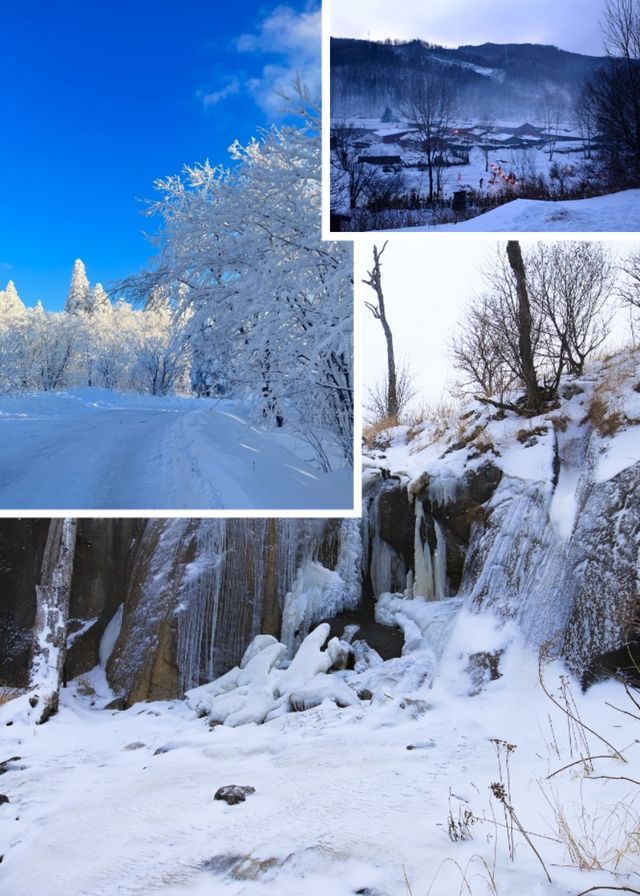 哈亞雪+延吉+長白山東北全線定制遊! 哈亞雪+延吉+長白山東北全線定制遊!