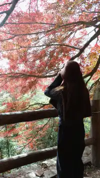 實況莫干山上的紅楓葉，美得走不動路