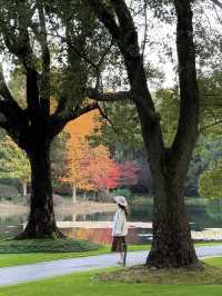 東郊秘境直出！比西郊美10倍的live級秋日畫冊