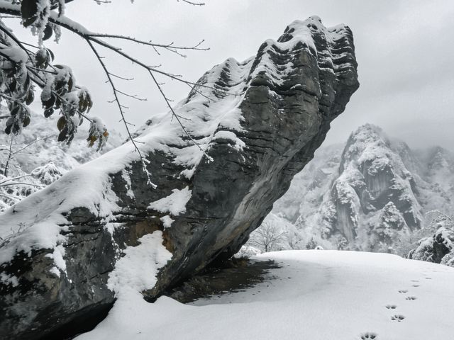雪_石林華鎰山_四川廣安 雪_石林華鎰山_四川廣安