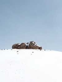 冬天的河西走廊是一場寂靜而盛大的浪漫