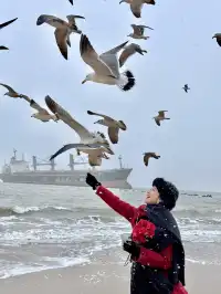 下雪的威海氛圍感絕了