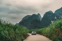 誰還去明仕田園?沿途景色直接封神!