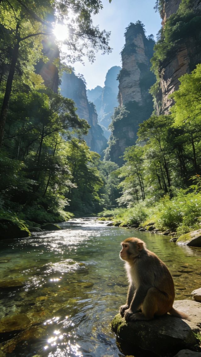 4天3夜張家界奇幻之旅!阿凡達懸浮山絕了! 4天3夜張家界奇幻之旅!阿凡達懸浮山絕了!