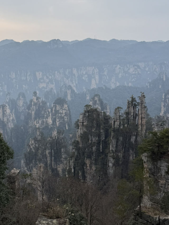 張家界 / 御筆峰 張家界 / 御筆峰