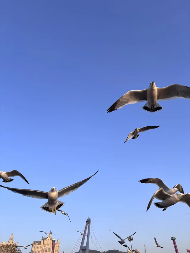 關於大連的初冬記憶 關於大連的初冬記憶