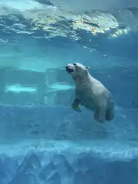 珠海長隆遛了3個2歲娃|酒店房型選擇攻略