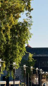 古典美學老門東南京文藝范古街區打卡指南