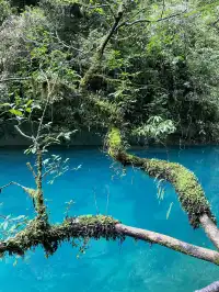 中國的仙本那—屏山大峽谷