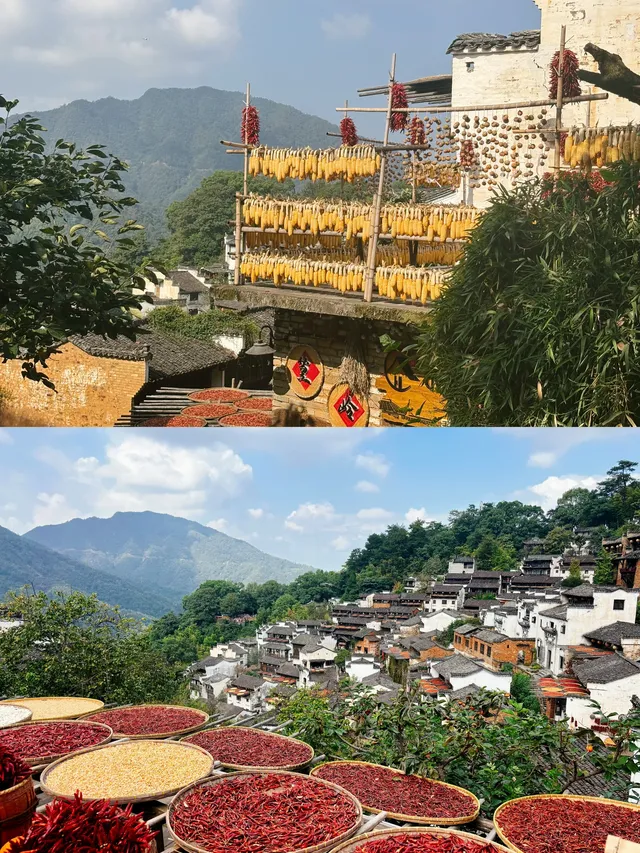 霧裡山川+晴日古村瀋陽江西8日「搲羊毛」攻略 霧裡山川+晴日古村瀋陽江西8日「搲羊毛」攻略