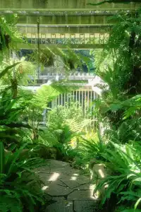 廈門植物園 | 像植物一樣呼吸