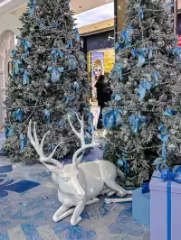 太原北美！！超夢幻冰雪球已就位。。。。。