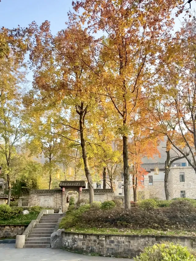 杭州2h直達！一個還在80年代的寶藏小鎮