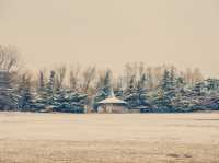 在之禾酒店體驗:城市裡的森林度假祕境