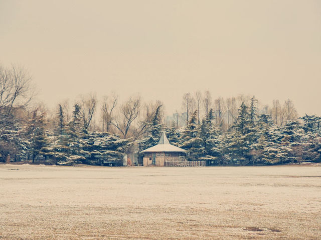 在之禾酒店體驗:城市裡的森林度假祕境 在之禾酒店體驗:城市裡的森林度假祕境