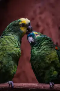 上海動物園‖動物攝影師的天堂