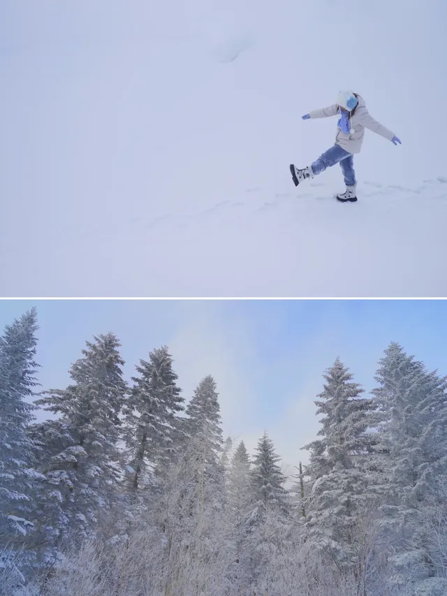 上海出發｜哈爾濱長白山看雪省錢心得