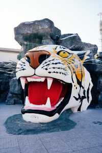 哈爾濱必打卡!東北虎林園與百獸之王0距離接觸!