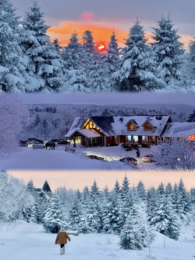 長白山雪嶺聖誕樹林裡的夢幻日落(附攻略) 長白山雪嶺聖誕樹林裡的夢幻日落(附攻略)