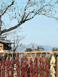 黃山遛娃!齊雲山2-3h輕鬆遊,索道直達不費媽還出片