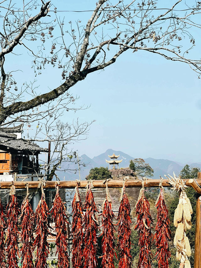 黃山遛娃!齊雲山2-3h輕鬆遊,索道直達不費媽還出片 黃山遛娃!齊雲山2-3h輕鬆遊,索道直達不費媽還出片