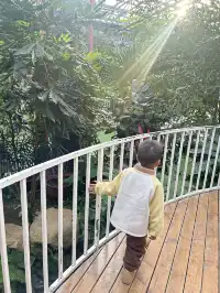 合肥遛娃| 大小朋友的快樂星球n刷都不膩