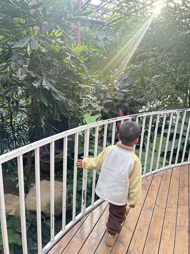 合肥遛娃| 大小朋友的快樂星球n刷都不膩 合肥遛娃| 大小朋友的快樂星球n刷都不膩