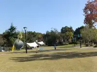 真心建議:週末帶娃,解鎖輕量化自然教育