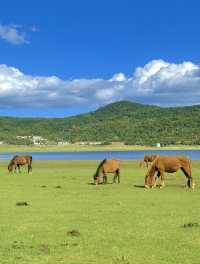 美得不像話雲南麗江也有自己的阿勒泰