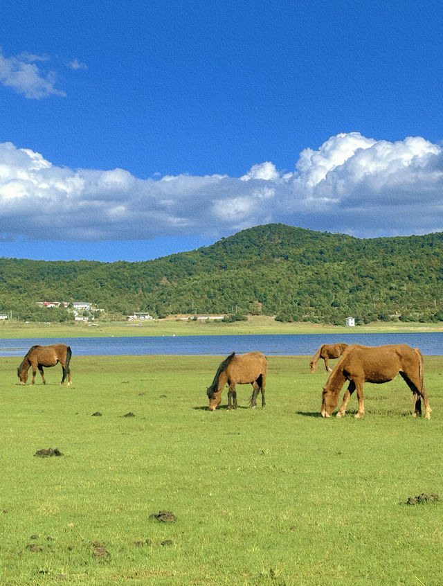 美得不像話雲南麗江也有自己的阿勒泰 美得不像話雲南麗江也有自己的阿勒泰
