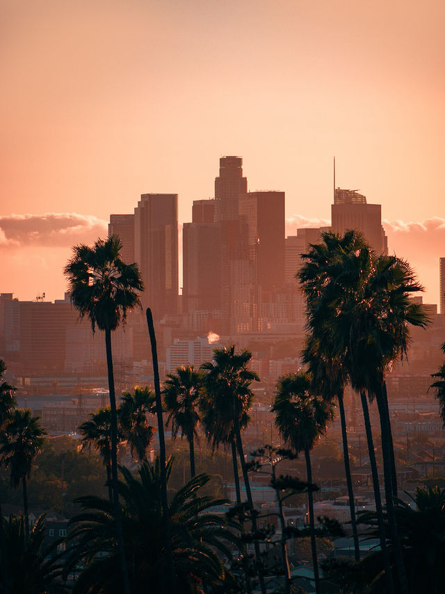 專車直達！舊金山定制包車自由行玩市區周邊