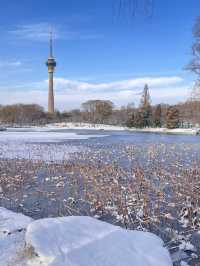 冬日限定雪景蘆葦打卡地