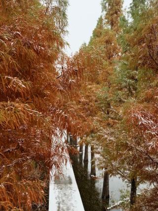 The stunning Dongfeng Canal is photogenic all year round! A perfect fairyland for dog walking and strolling