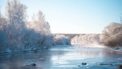 Viewing rime ice in Northeast China isn’t just about Changbai Mountain — traveler post in Jixi