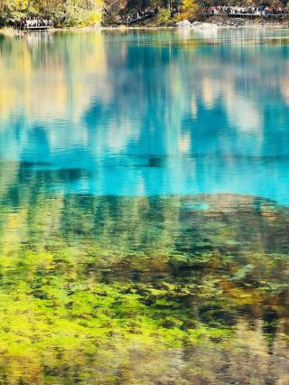 7일간 인도네시아 완전 정복 초간단 가이드 빠르게 저장하세요