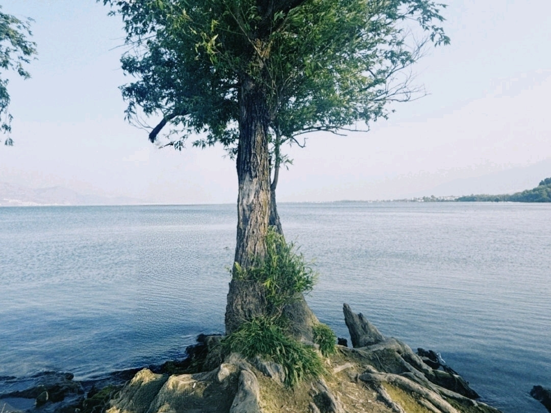 龙龛码头 参考图 6