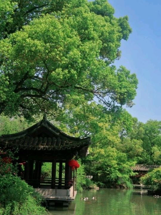江南の詩情と言えば、一歩一歩が物語の中を歩くような街「紹興