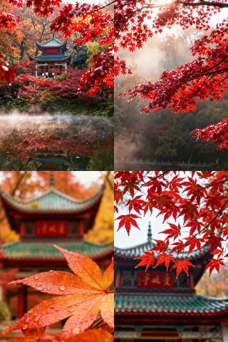 Changsha Yuelu Mountain & Aiwan Pavilion 2-Day In-Depth Tour Guide