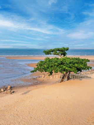 海口旅遊打卡機位丨別再說海口沒啥玩的了