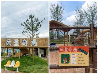 Pingyi Mengtong Adventure Park Trip.com family travel photography notes | Lakeside fairy tale secret realm at the foot of Mengshan Mountain