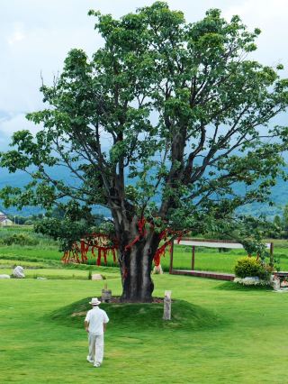 In Dali!! Staying at the foot of Cangshan! Only then did I understand what relaxation really means