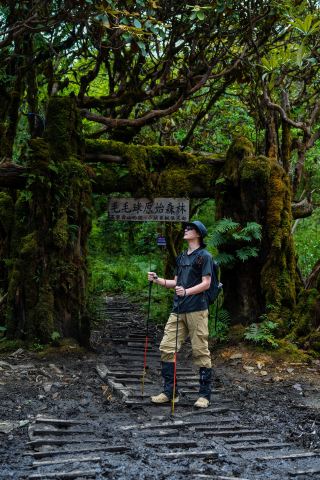 Mossy Forest Hiking | Step into a real-life Jurassic mossy wonderland