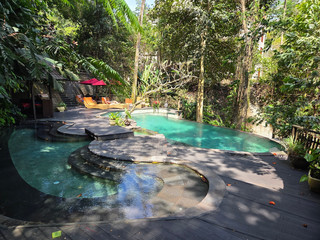 Penginapan Resor Idilis di Hutan Hujan Ubud